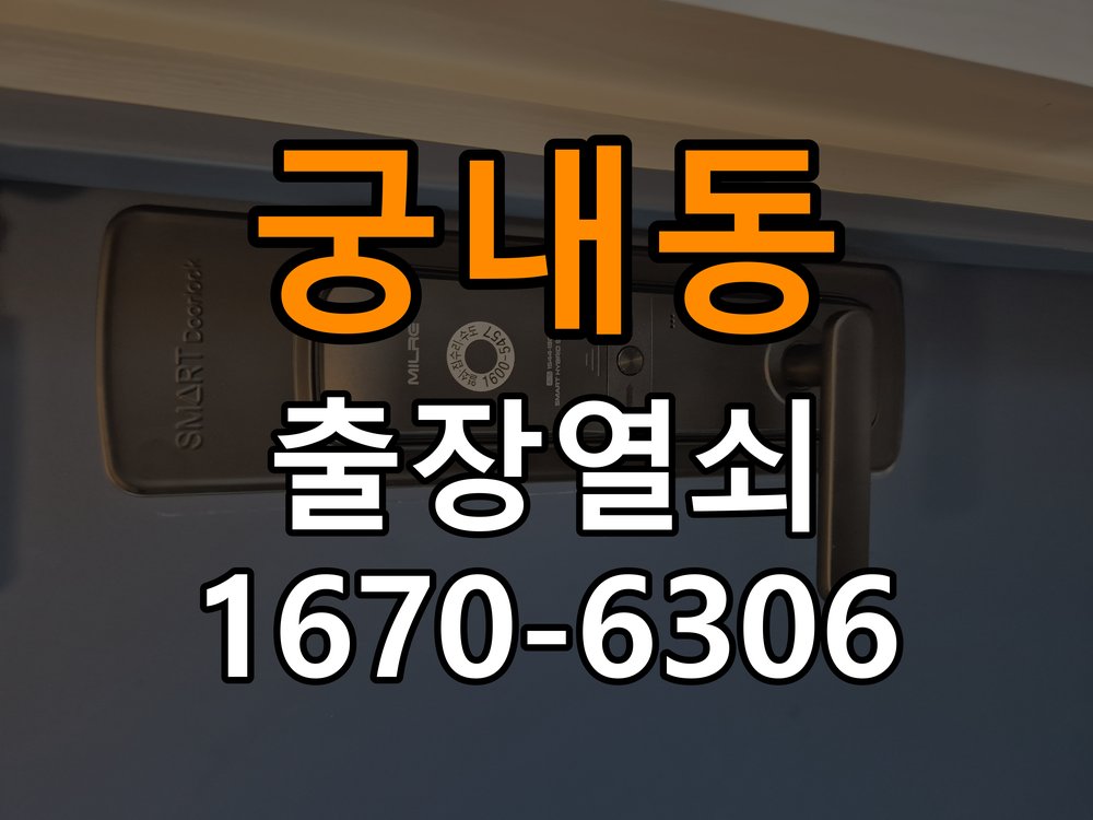 궁내동 원룸 현관문을 세게 닫아야 도어락이 잠기는 원인 - 수리와 교체 판단 기준 원룸 출입 공간에서 문을 강하게 닫아야 잠금이 완료됨. 이 글의 점검 목적: 고장 범위, 호환 부품과 장착면 상태로 조정·수리·교체를 비교 현장 출장