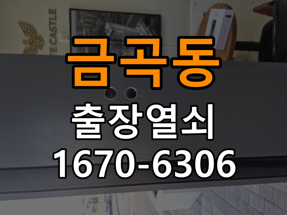 금곡동도어락 출장 열쇠집 24시 학원 비밀번호 분실 파손없이 개문 및 점검 참고 사진 3