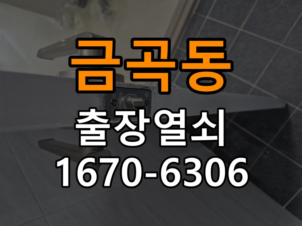 금곡동열쇠 도어락 출장 설치 도어락 교체 및 비번 변경 호환성 확인 참고 사진 2