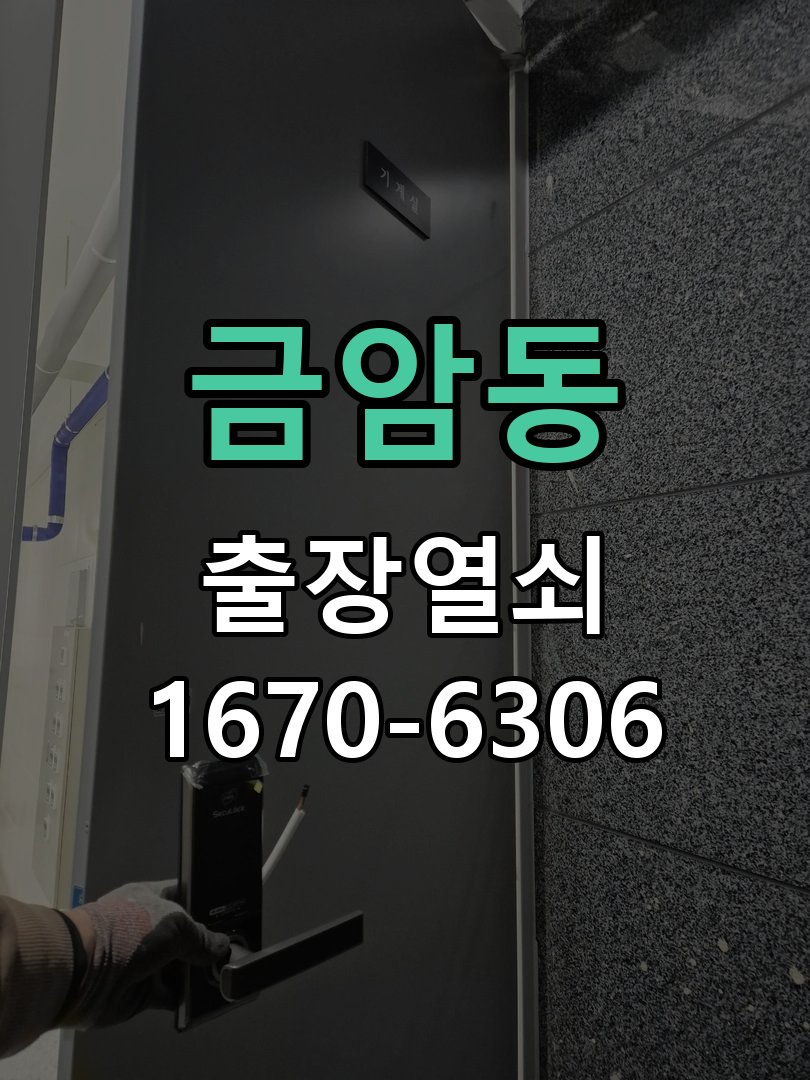 금암동 도어락 경고음 삐삐삐 울릴때 조치법 문이 닫힌 뒤에도 삐삐삐 경고음이 수 초 간격으로 연속 발생 현장 출장
