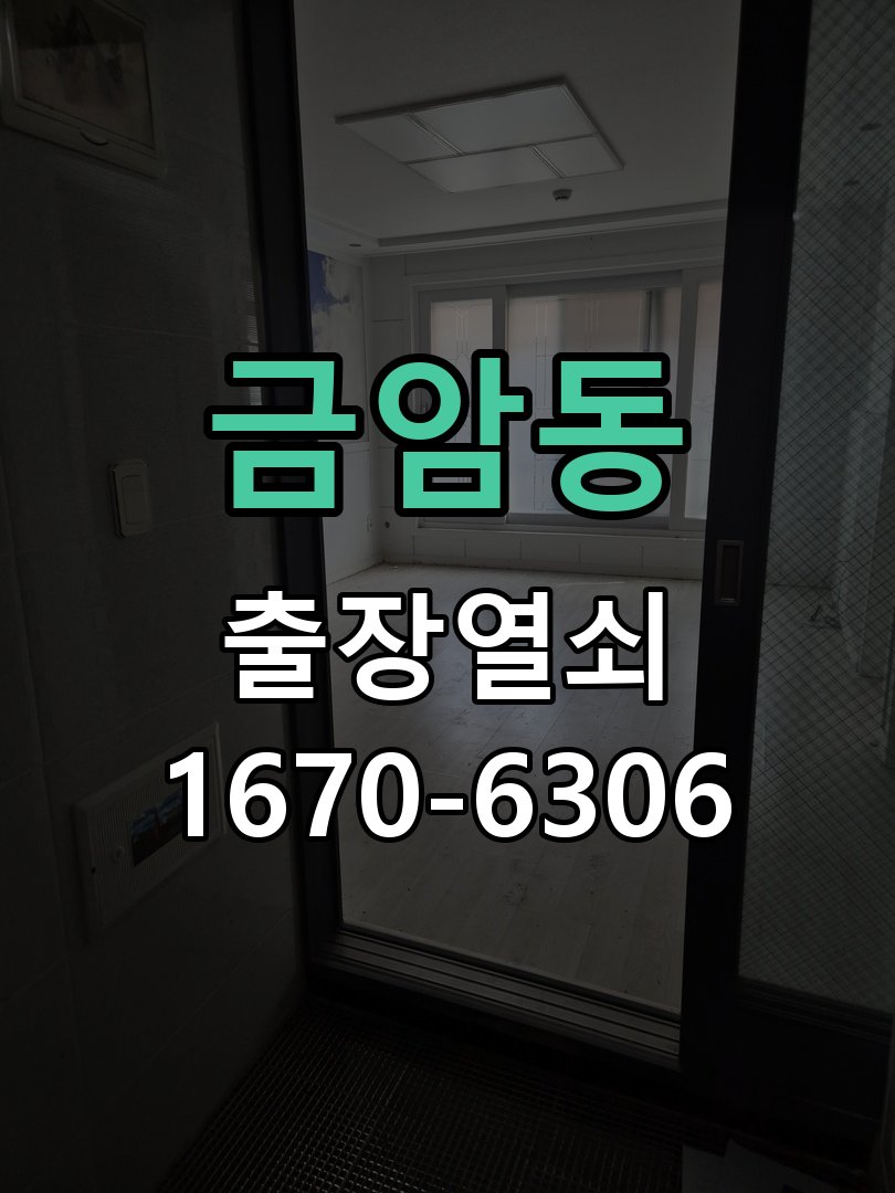 금암동 도어락 경고음 삐삐삐 울릴때 조치법 작업 완료 후 정상 작동 확인