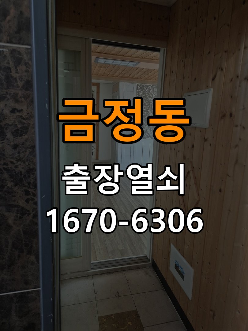 금정동 사무실 현관문 처짐 도어클로저 닫힘 속도 조절 - 이사 전후 상태 확인 K250 규격 유압식 방화문 도어체크 교체 정밀 점검 및 교체