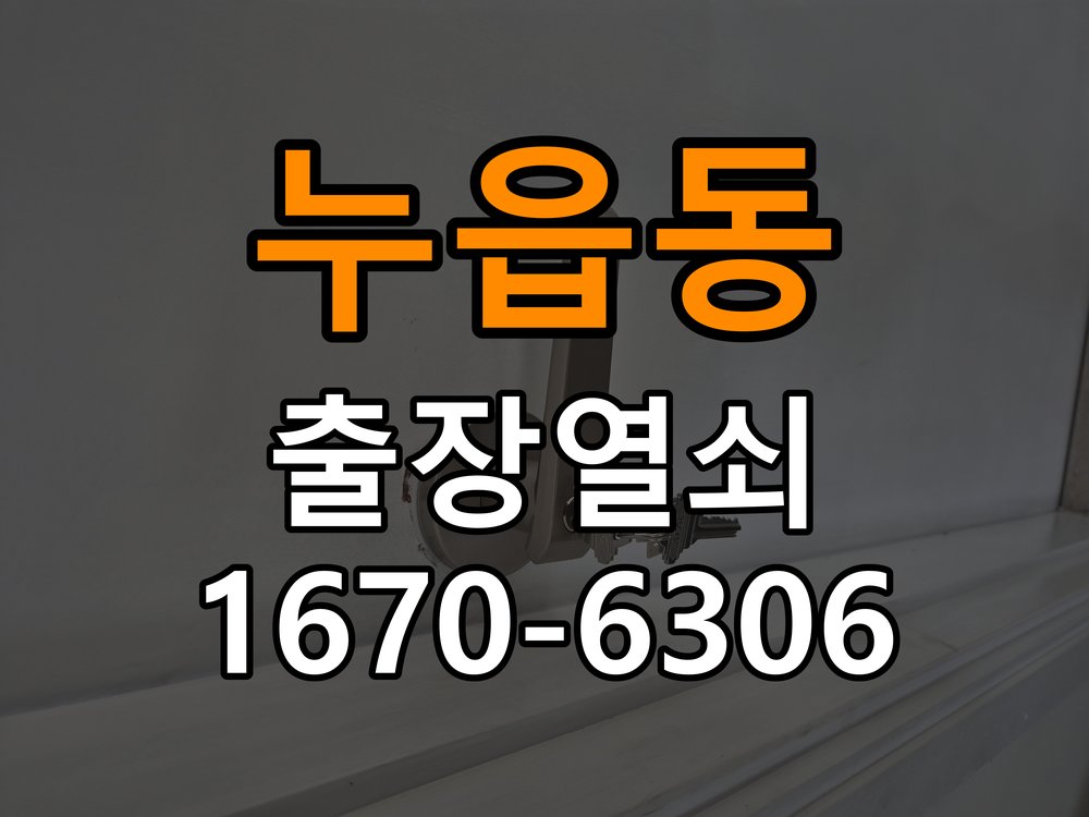 누읍동도어락 열쇠집 24시 출장 사무실 화장실 핀 잠김 해결 참고 사진 3