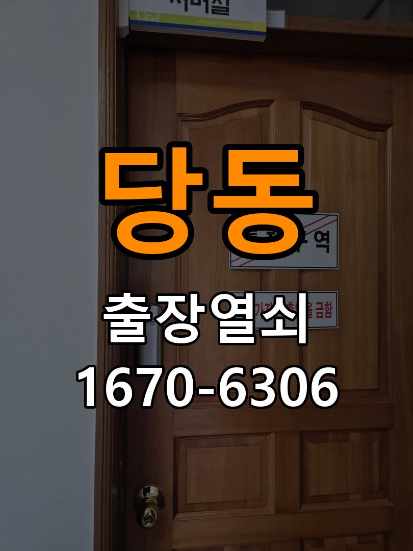 당동 복도식 아파트 열쇠 부러짐 키 실린더 교체 - 이사 전후 상태 확인 복도식 아파트 출입 공간에서 열쇠 구멍 안에서 키가 꺾여 부러진 채 박혀 문이 안 열림. 이 글의 점검 목적: 이전 사용 상태와 이사 후 설정·장착 변화 여부를 확인 현장 출장