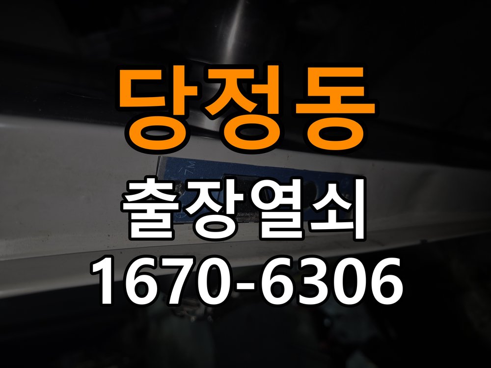 당정동 옥탑방 현관문 보조키 열쇠 분실 키통 교체 - 아침과 저녁 작동 차이 확인 특수 딤플키 실린더 보조키 교체 정밀 점검 및 교체