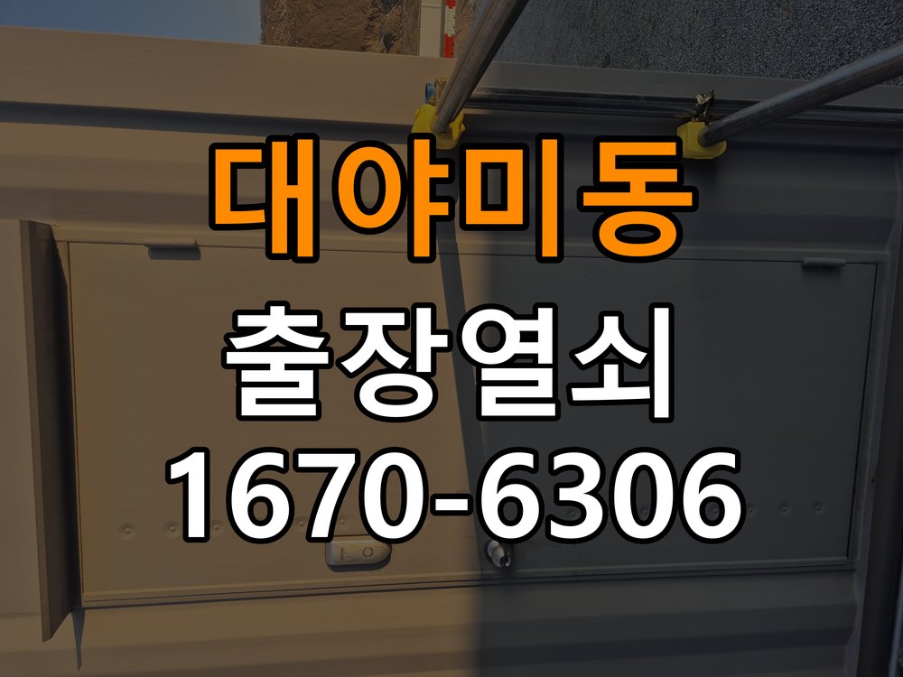 대야미동 현관문 보조키 열쇠 분실 키통 교체 도어락 위의 특수 보조키 열쇠를 잃어버려 문을 열지 못함 현장 출장