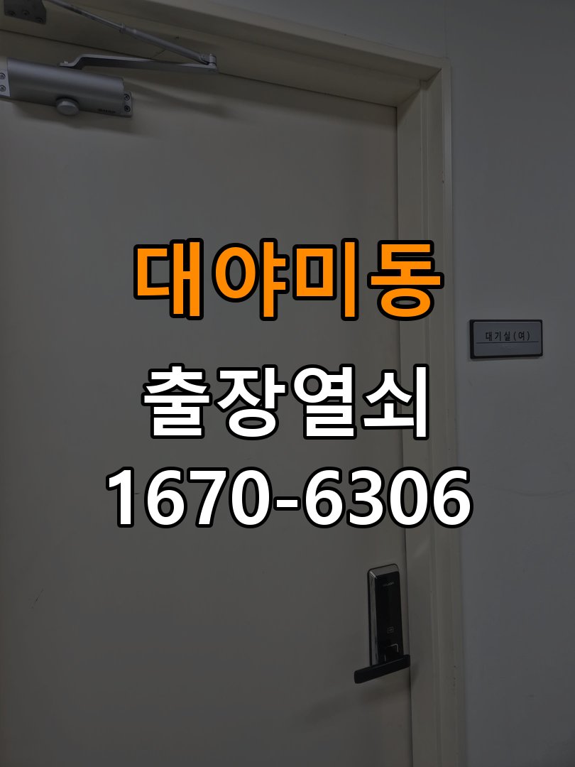 대야미동 현관문 보조키 열쇠 분실 키통 교체 특수 딤플키 실린더 보조키 교체 정밀 점검 및 교체