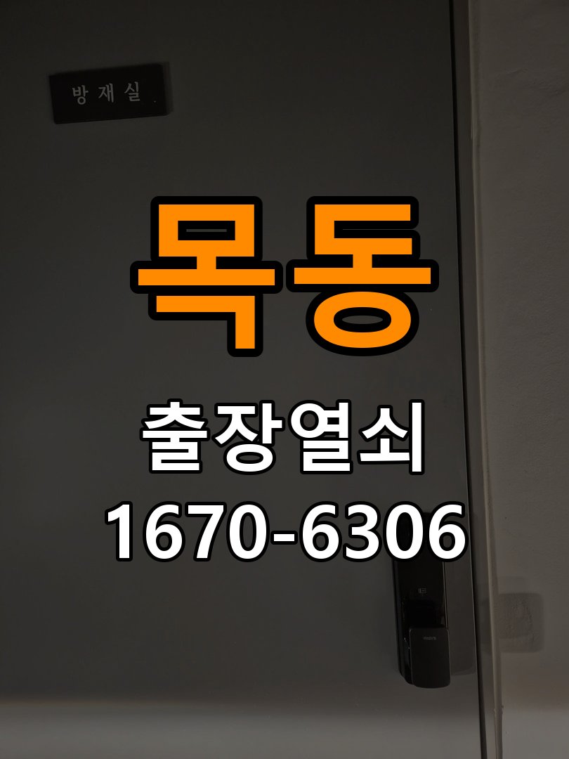 목동 보조키 특수키 안전고리 추가 설치 도어락 외에 추가적인 이중 보안 잠금장치 필요 현장 출장