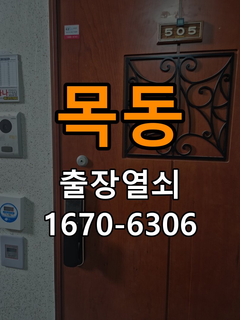목동 보조키 특수키 안전고리 추가 설치 특수 핀 실린더 보조키 및 빗장형 고급 안전고리 정밀 점검 및 교체