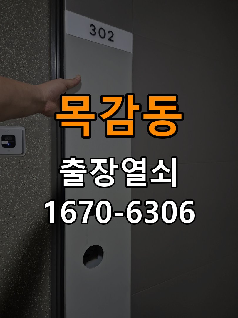 목감동 보조키 특수키 안전고리 추가 설치 도어락 외에 추가적인 이중 보안 잠금장치 필요 현장 출장