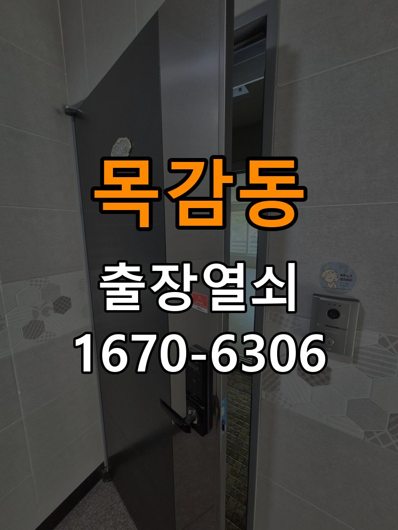 목감동 보조키 특수키 안전고리 추가 설치 특수 핀 실린더 보조키 및 빗장형 고급 안전고리 정밀 점검 및 교체