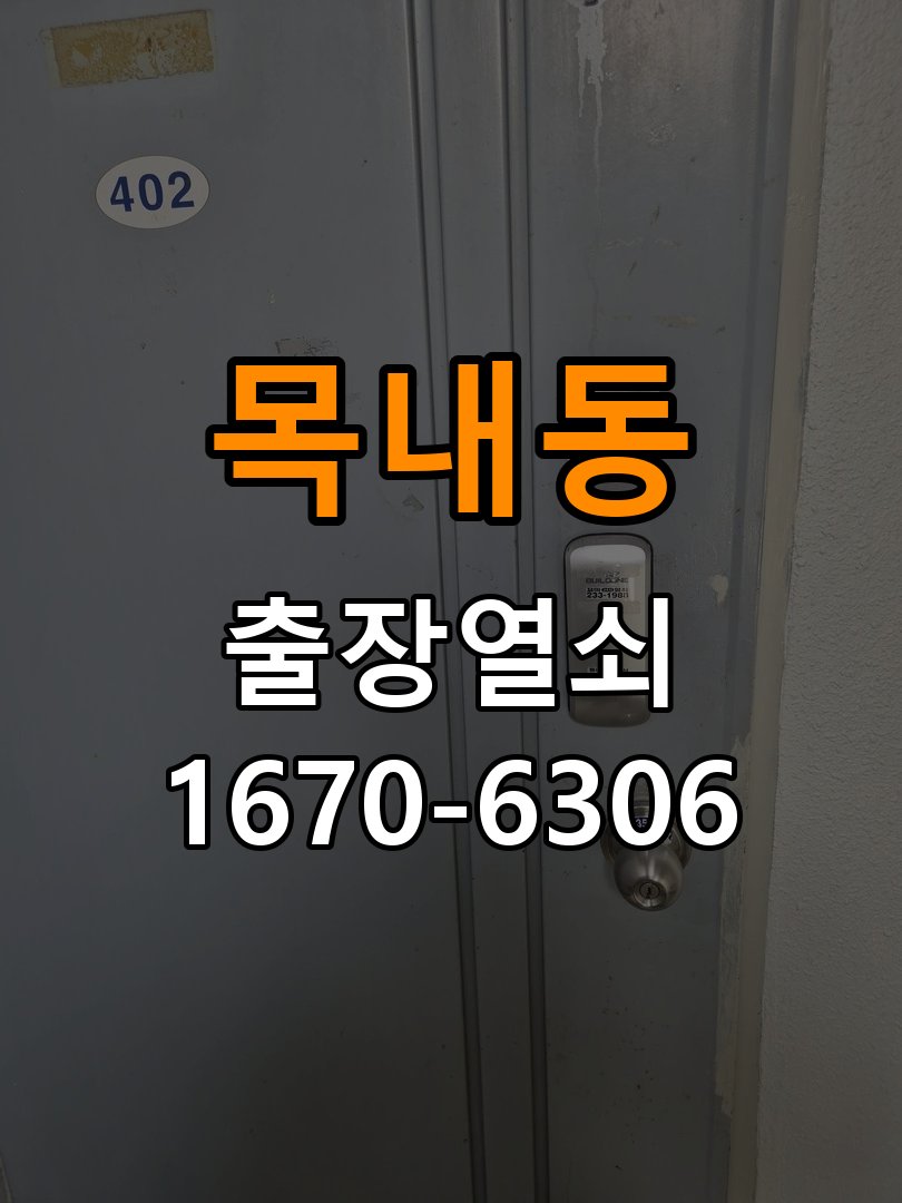 목내동 열쇠 부러짐 키 실린더 교체 열쇠 구멍 안에서 키가 꺾여 부러진 채 박혀 문이 안 열림 현장 출장