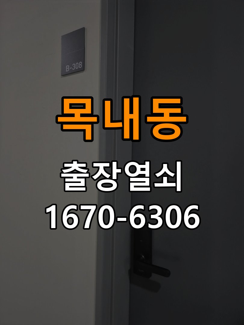 목내동 열쇠 부러짐 키 실린더 교체 정밀 핀 실린더 뭉치 및 열쇠 3개 세트 정밀 점검 및 교체