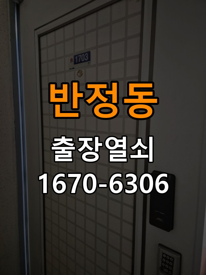 반정동 현관문 보조키 열쇠 분실 키통 교체 도어락 위의 특수 보조키 열쇠를 잃어버려 문을 열지 못함 현장 출장