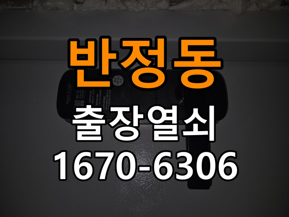 반정동도어락 열쇠 출장 24시 빌라 현관문 잠금받이 주변 나무 갈림점검 참고 사진 5