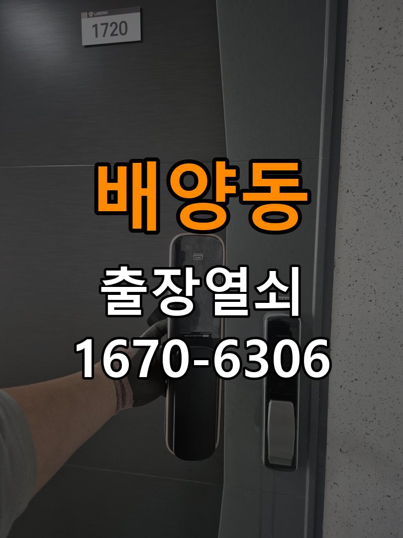 배양동 상가 셔터키 자물쇠 고장 출장 수리 작업 완료 후 정상 작동 확인