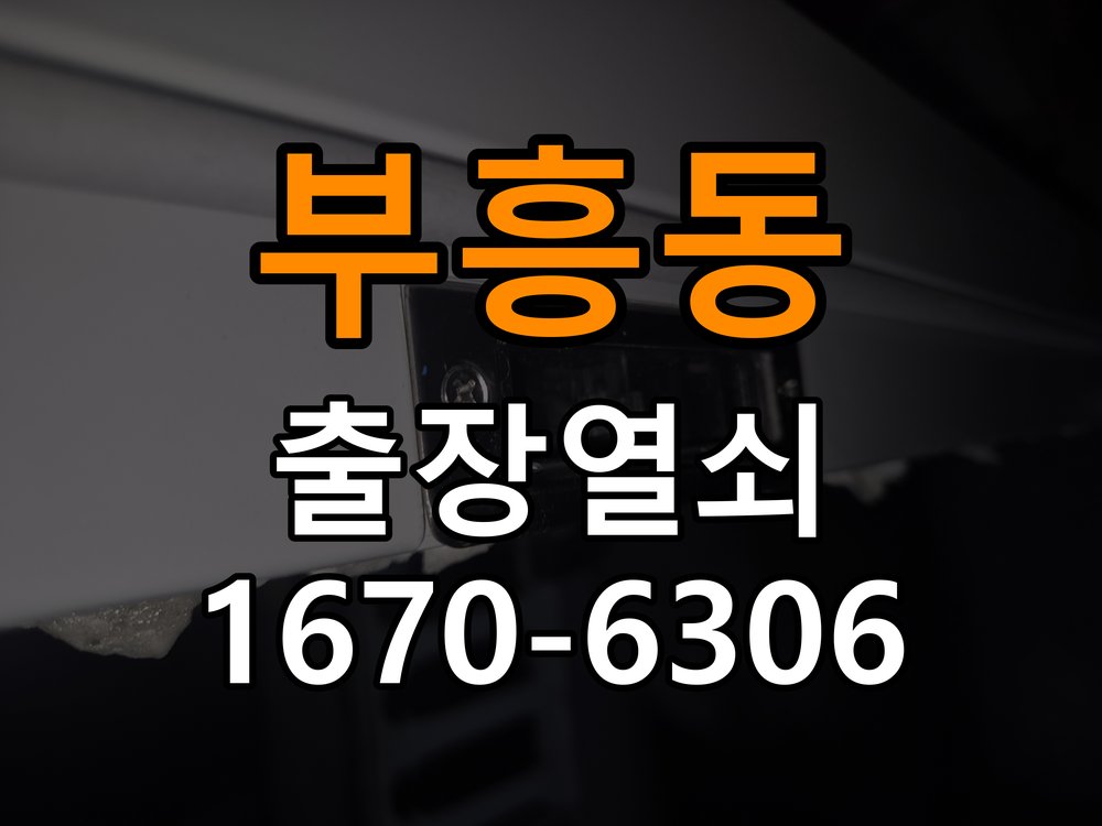 부흥동 반지하 주택 화장실 핀 잠김 젓가락으로 안열릴때 - 수리와 교체 판단 기준 실내문 전용 일체형 손잡이 래치 교체 정밀 점검 및 교체
