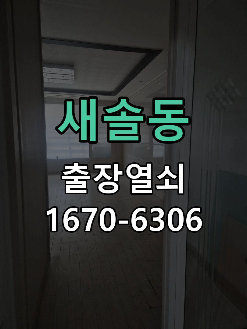 새솔동 디지털 번호키 오류음 발생 원인과 해결 비밀번호를 바르게 눌러도 '삑삑삑' 삐비빅 실패음이 나며 안 열림 현장 출장