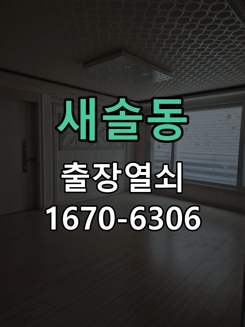 새솔동 디지털 번호키 오류음 발생 원인과 해결 도어락 내부 구동 모터 및 모티스 연동부 정비 정밀 점검 및 교체