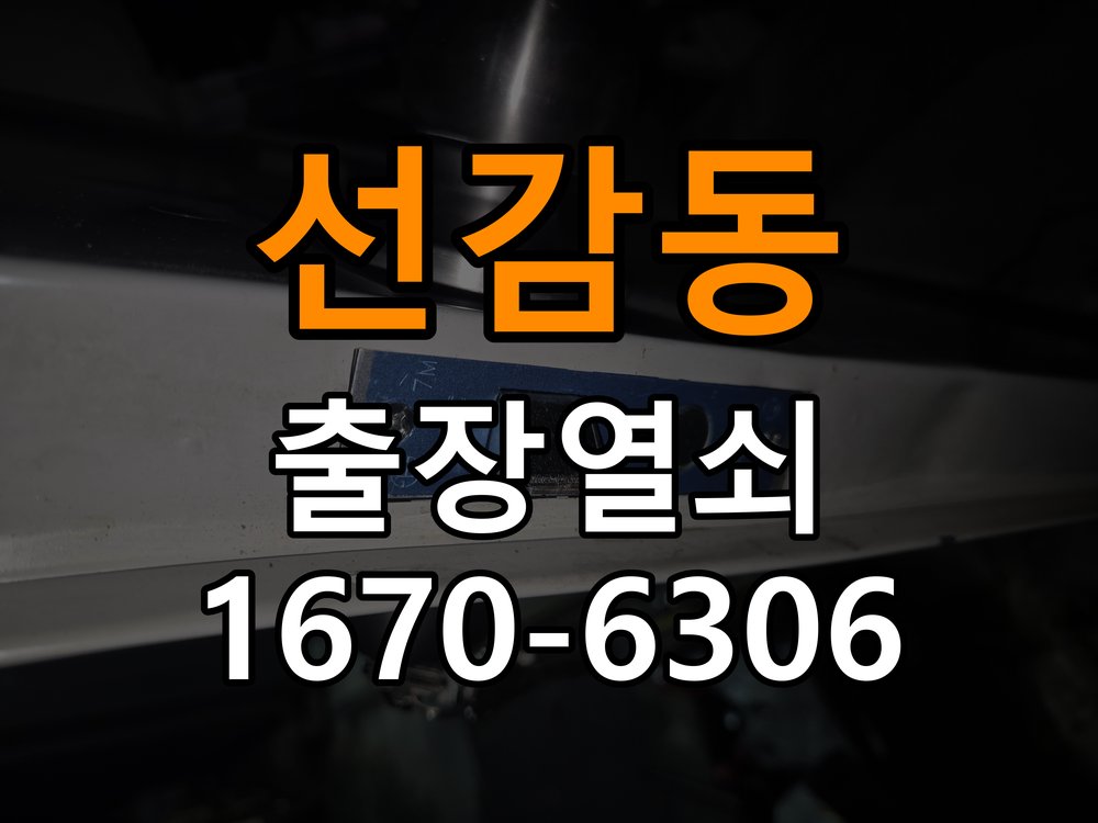 선감동열쇠 단독주택 욕실문 문걸림 현상 점검 및 교체 참고 사진 1