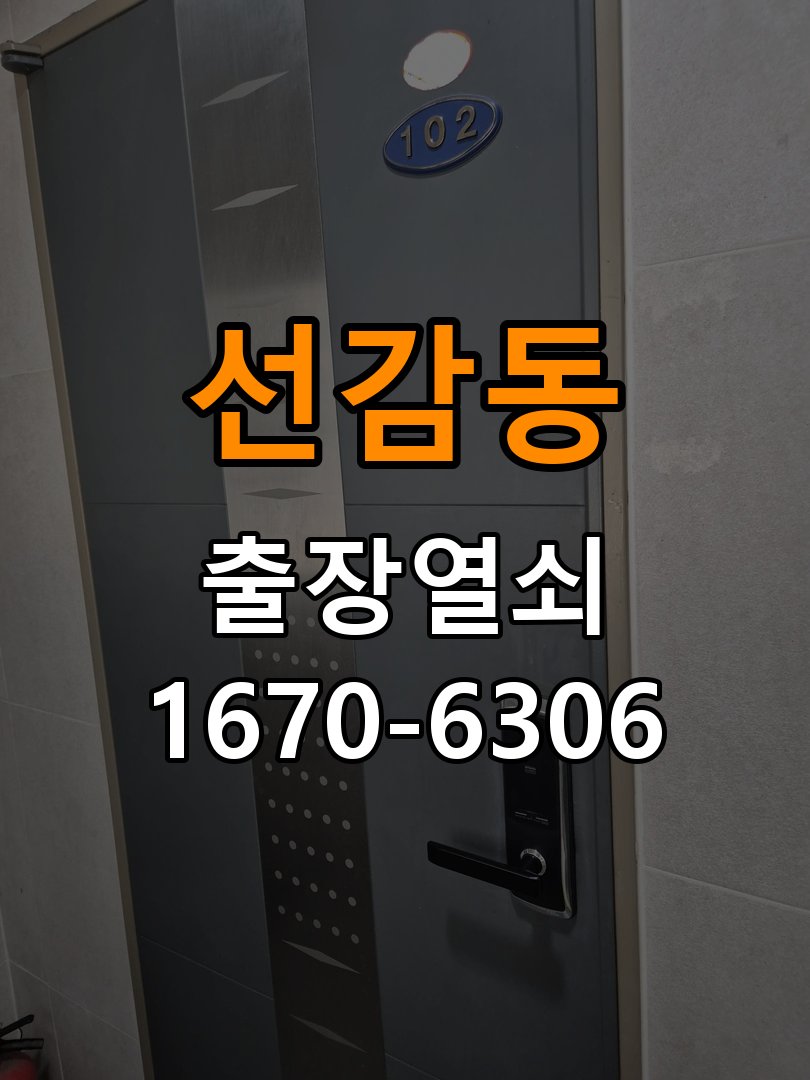 선감동 열쇠 부러짐 키 실린더 교체 열쇠 구멍 안에서 키가 꺾여 부러진 채 박혀 문이 안 열림 현장 출장