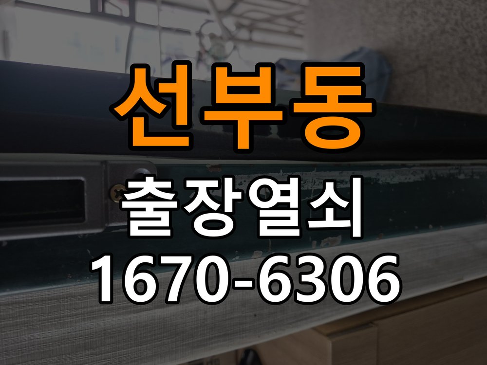 선부동 보조키 특수키 안전고리 추가 설치 특수 핀 실린더 보조키 및 빗장형 고급 안전고리 정밀 점검 및 교체