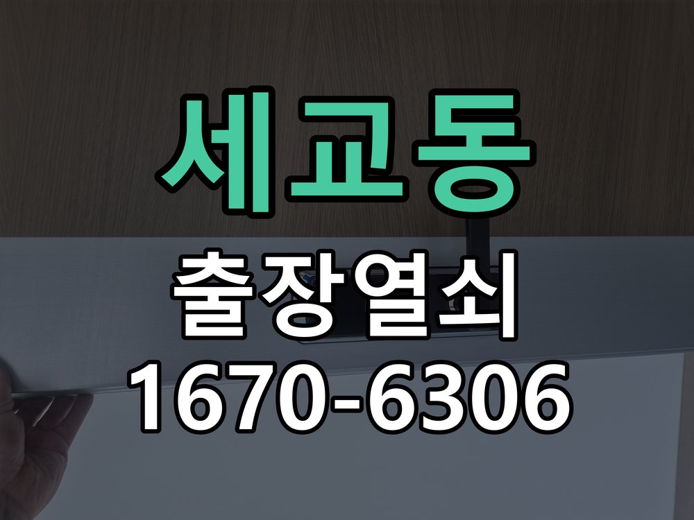 세교동 도어락 이중잠금 내부잠금 해제 방법 집 안에서 이중 잠금(안전잠금) 버튼이 눌려 밖에서 비번을 쳐도 삑삑 소리만 남 현장 출장