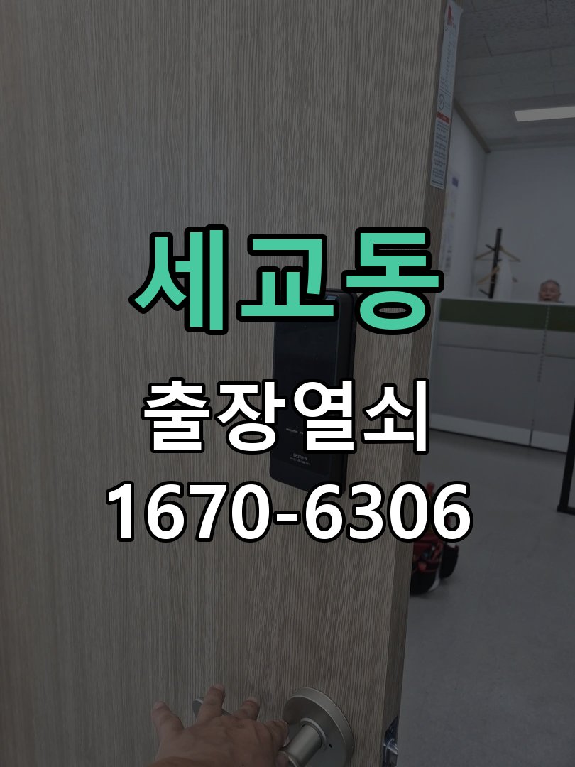 세교동 도어락 이중잠금 내부잠금 해제 방법 파손 최소화 기술 개문 공구 세트 정밀 점검 및 교체