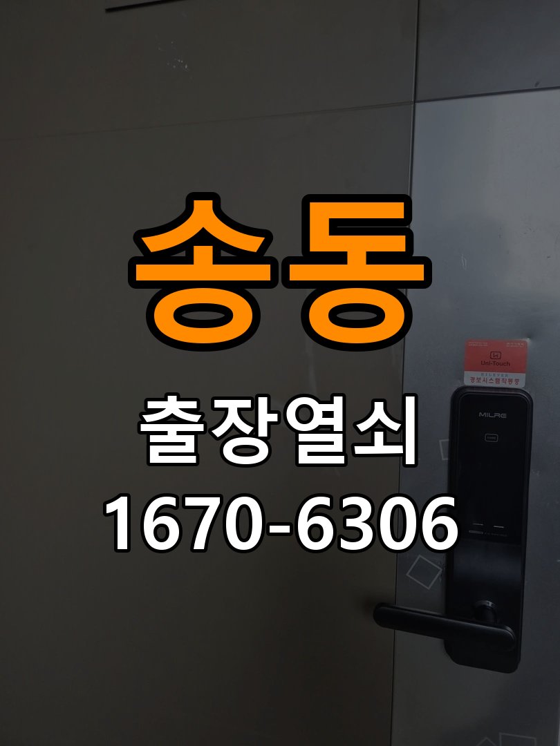 송동 보조키 특수키 안전고리 추가 설치 특수 핀 실린더 보조키 및 빗장형 고급 안전고리 정밀 점검 및 교체
