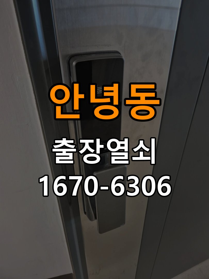 안녕동 보조키 특수키 안전고리 추가 설치 특수 핀 실린더 보조키 및 빗장형 고급 안전고리 정밀 점검 및 교체