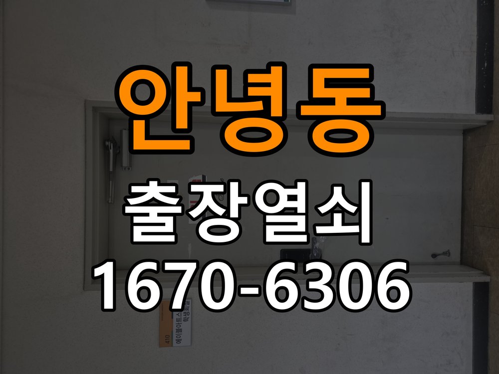 안녕동 보조키 특수키 안전고리 추가 설치 작업 완료 후 정상 작동 확인