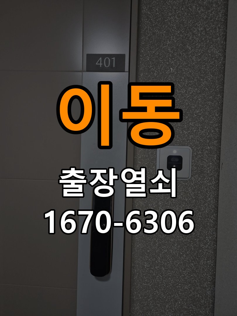 이동 보조키 특수키 안전고리 추가 설치 특수 핀 실린더 보조키 및 빗장형 고급 안전고리 정밀 점검 및 교체