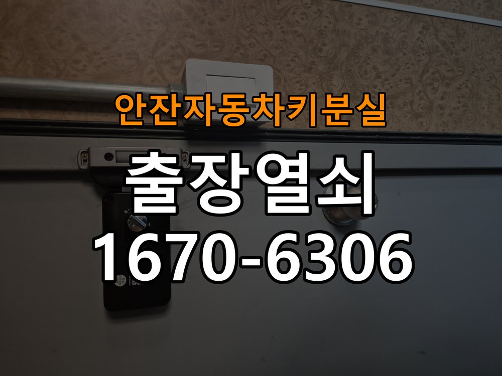 안잔 자동차키 분실 인터폰 비디오폰 도어락 무선연동 설치 거실 비디오폰에서 현관 문열림 버튼을 눌러도 반응이 없음 현장 출장