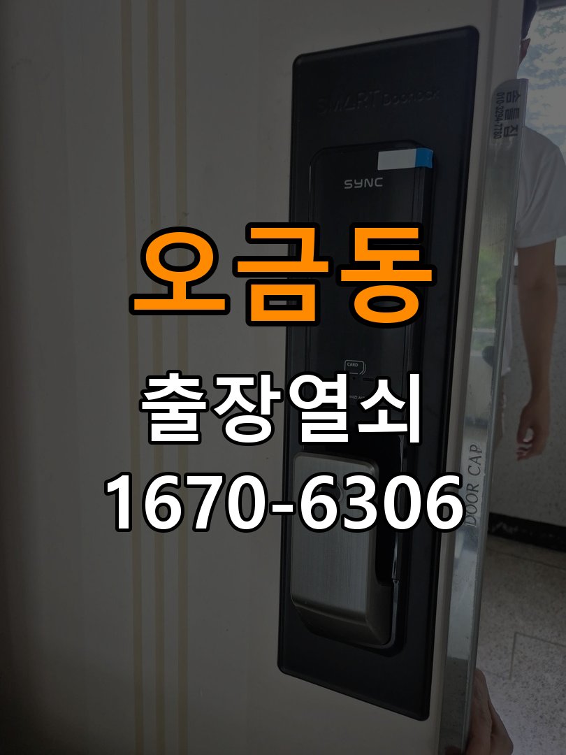 오금동 아파트 화장실 핀 잠김 젓가락으로 안열릴때 - 외관은 정상인데 작동이 안 될 때 점검 실내문 전용 일체형 손잡이 래치 교체 정밀 점검 및 교체
