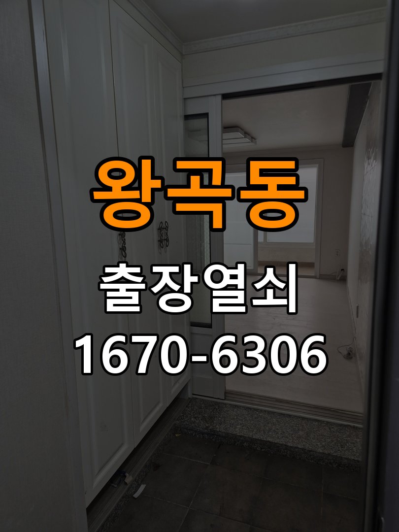 왕곡동 오피스텔 현관문 잠금받이 주변 나무가 갈라졌을 때 점검 - 새로 설치한 제품 이상 확인 잠금받이 보강 부품 정밀 점검 및 교체