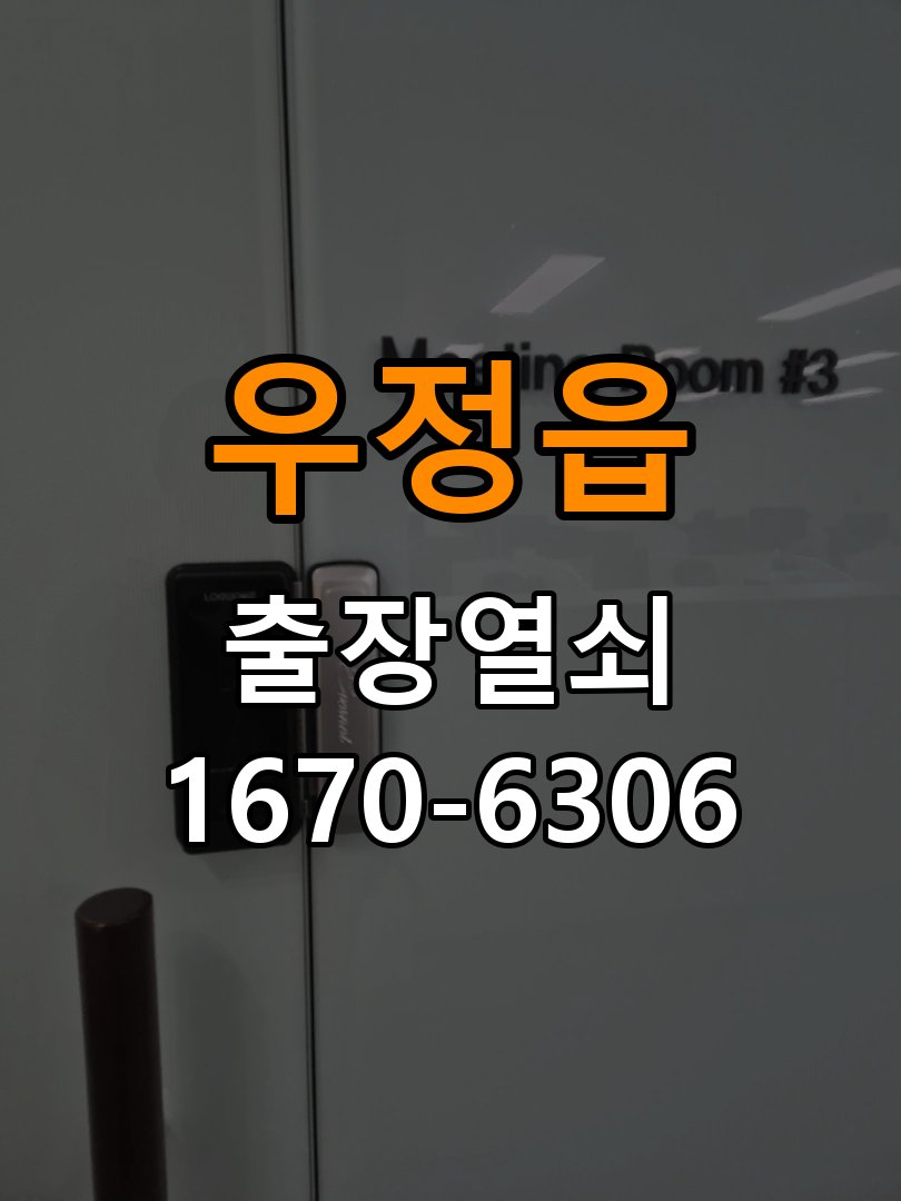 우정읍 보조키 특수키 안전고리 추가 설치 특수 핀 실린더 보조키 및 빗장형 고급 안전고리 정밀 점검 및 교체