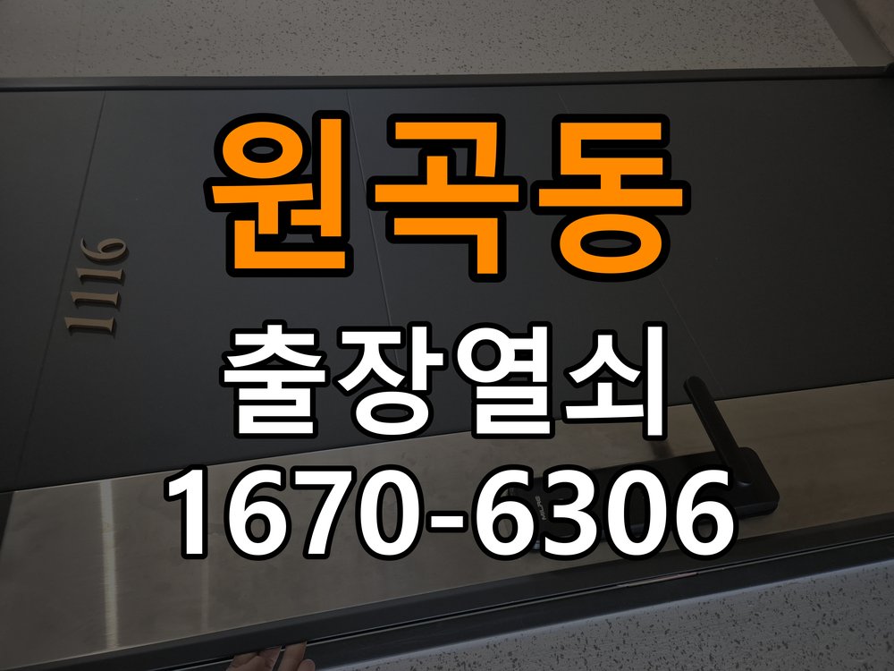 원곡동 창고 대문 개폐기 열쇠 고장 교체 AC 220V/DC 12V 호환 전자 대문 개폐기 정밀 점검 및 교체