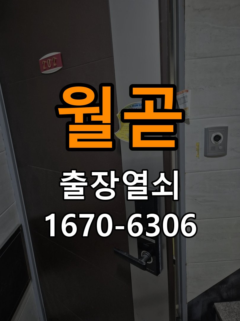 월곧 보조키 특수키 안전고리 추가 설치 도어락 외에 추가적인 이중 보안 잠금장치 필요 현장 출장