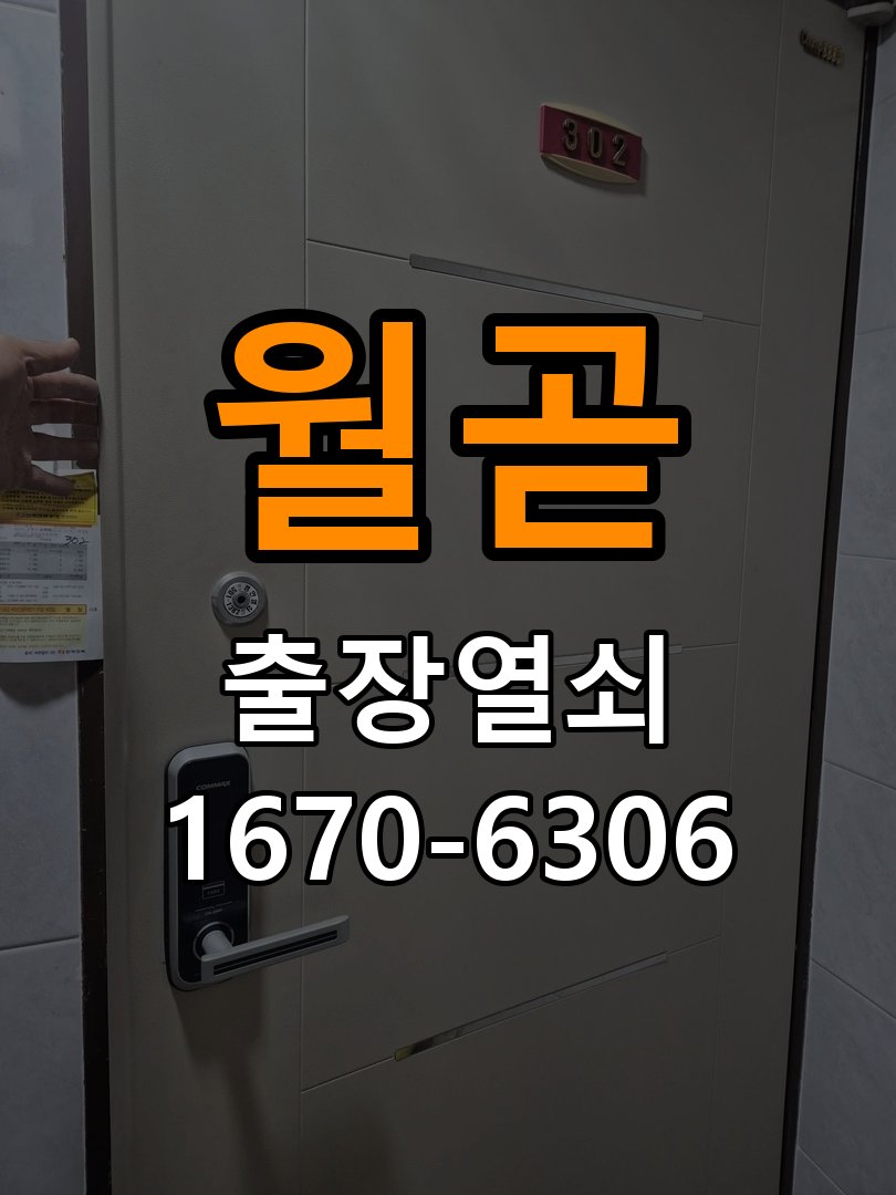 월곧 보조키 특수키 안전고리 추가 설치 특수 핀 실린더 보조키 및 빗장형 고급 안전고리 정밀 점검 및 교체