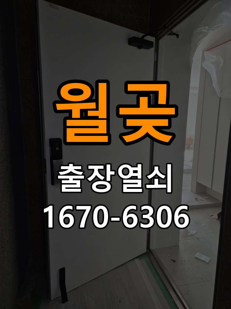 월곶 보조키 특수키 안전고리 추가 설치 도어락 외에 추가적인 이중 보안 잠금장치 필요 현장 출장
