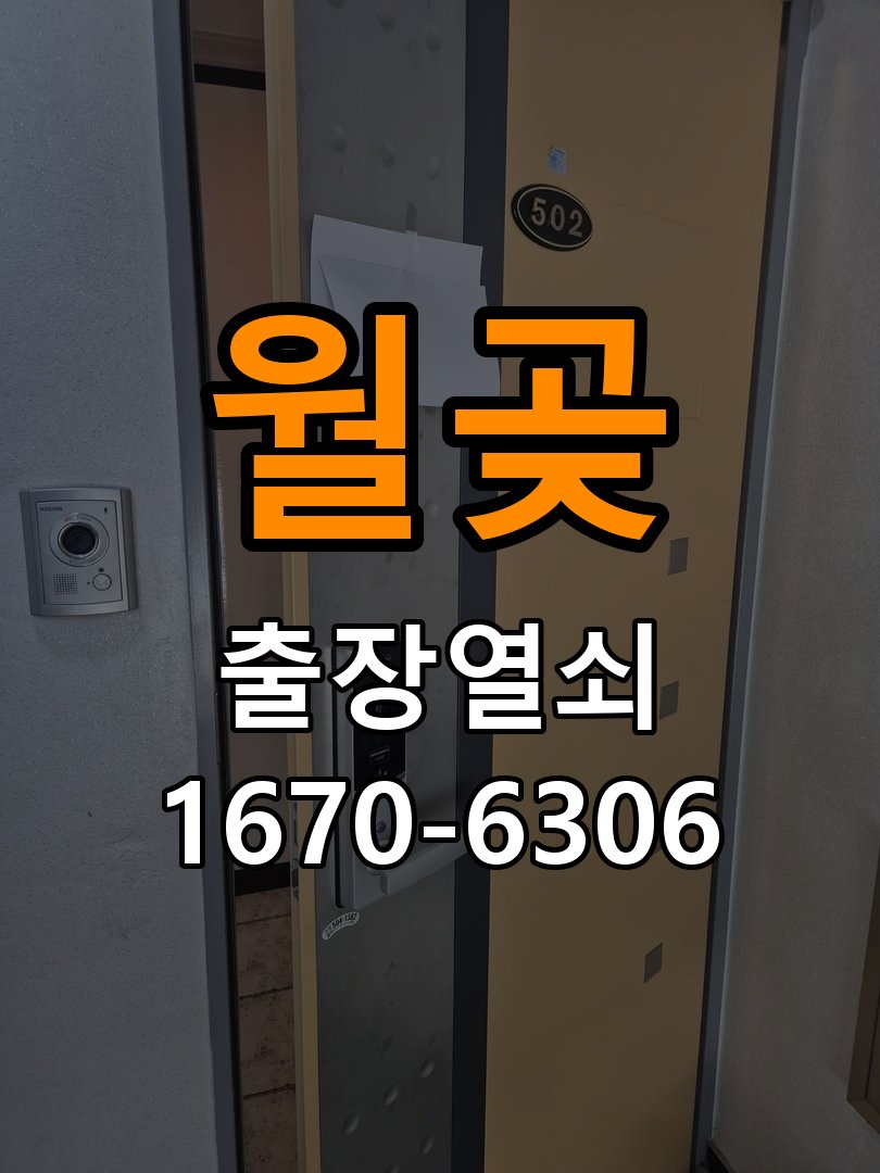 월곶 보조키 특수키 안전고리 추가 설치 특수 핀 실린더 보조키 및 빗장형 고급 안전고리 정밀 점검 및 교체