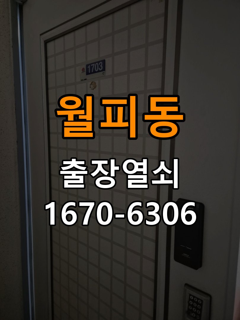 월피동 상가 셔터키 자물쇠 고장 출장 수리 작업 완료 후 정상 작동 확인