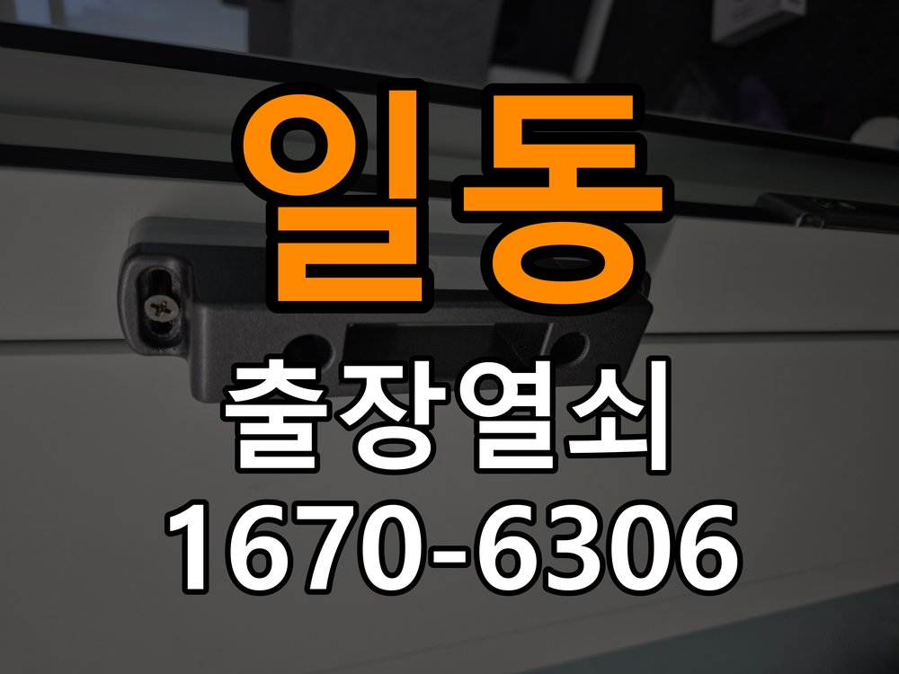 일동 현관문 보조키 열쇠 분실 키통 교체 도어락 위의 특수 보조키 열쇠를 잃어버려 문을 열지 못함 현장 출장