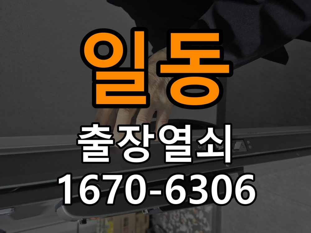 일동 현관문 보조키 열쇠 분실 키통 교체 특수 딤플키 실린더 보조키 교체 정밀 점검 및 교체