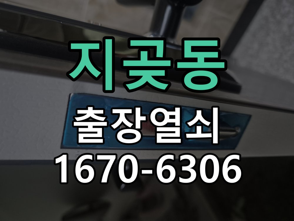 지곶동 방문이 안열릴때 원통형 방문 레버 락 및 튜블러 래치 교체 정밀 점검 및 교체