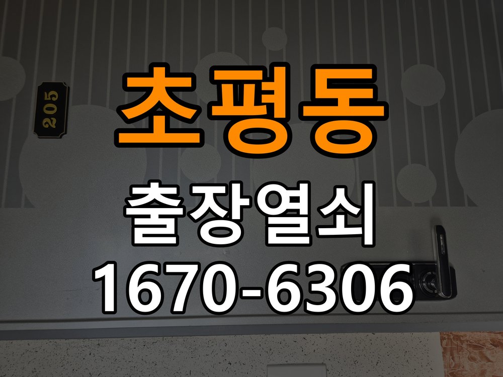 초평동 다세대주택 현관문 처짐 도어클로저 닫힘 속도 조절 - 설치 환경 확인방법 작업 완료 후 정상 작동 확인