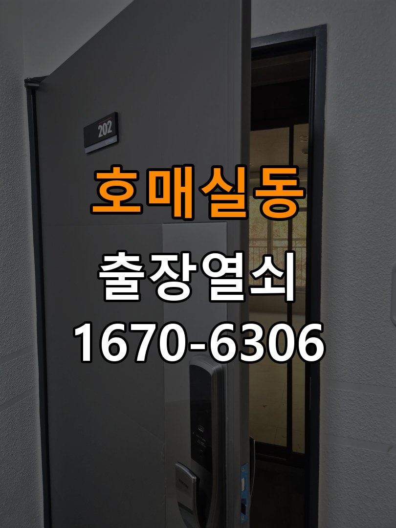 호매실동열쇠 도어락 출장 설치 도어락, 시간대별 작동 차이로 교체 필요성 확인 참고 사진 1